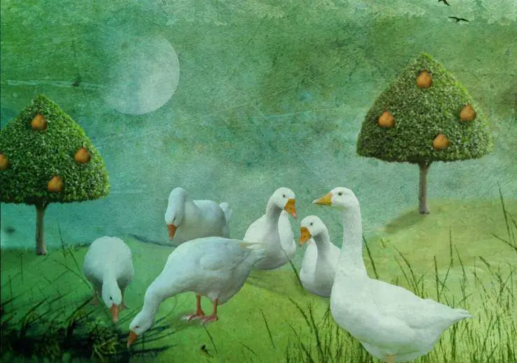 6 geese