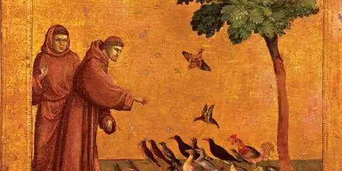 Francis language simplicity