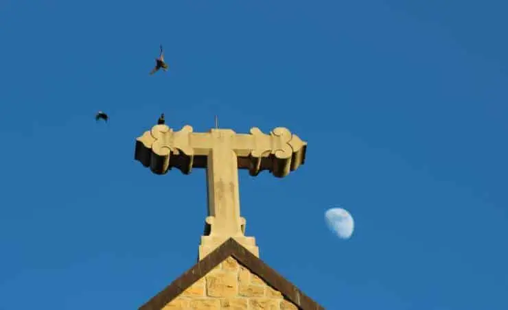 Cross
