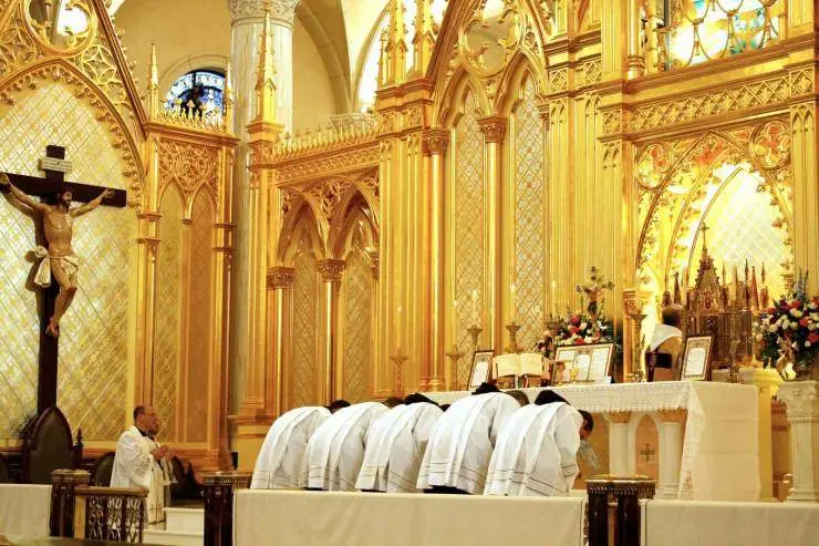 Obedience Knights Mass