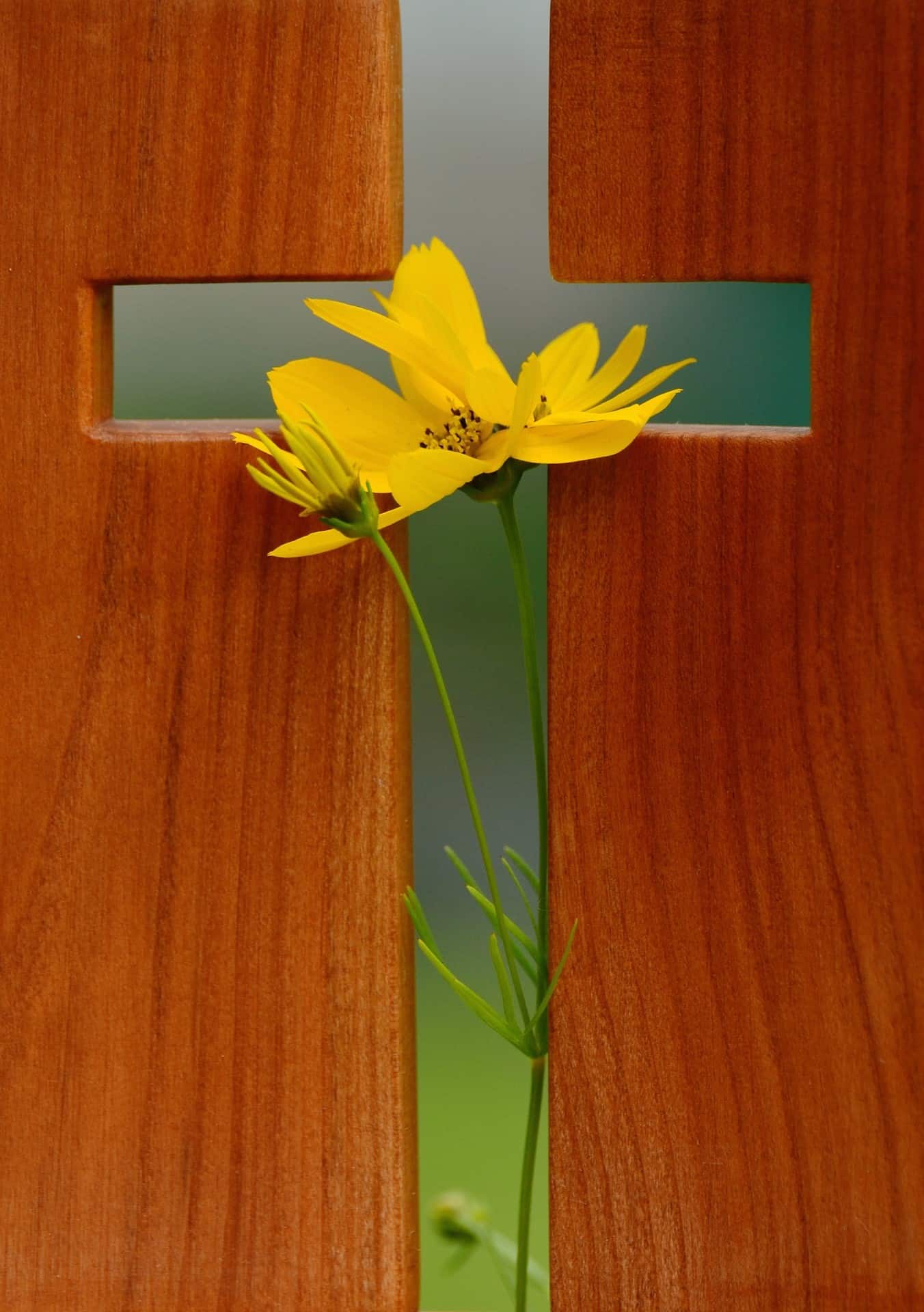 cross with yellow flower