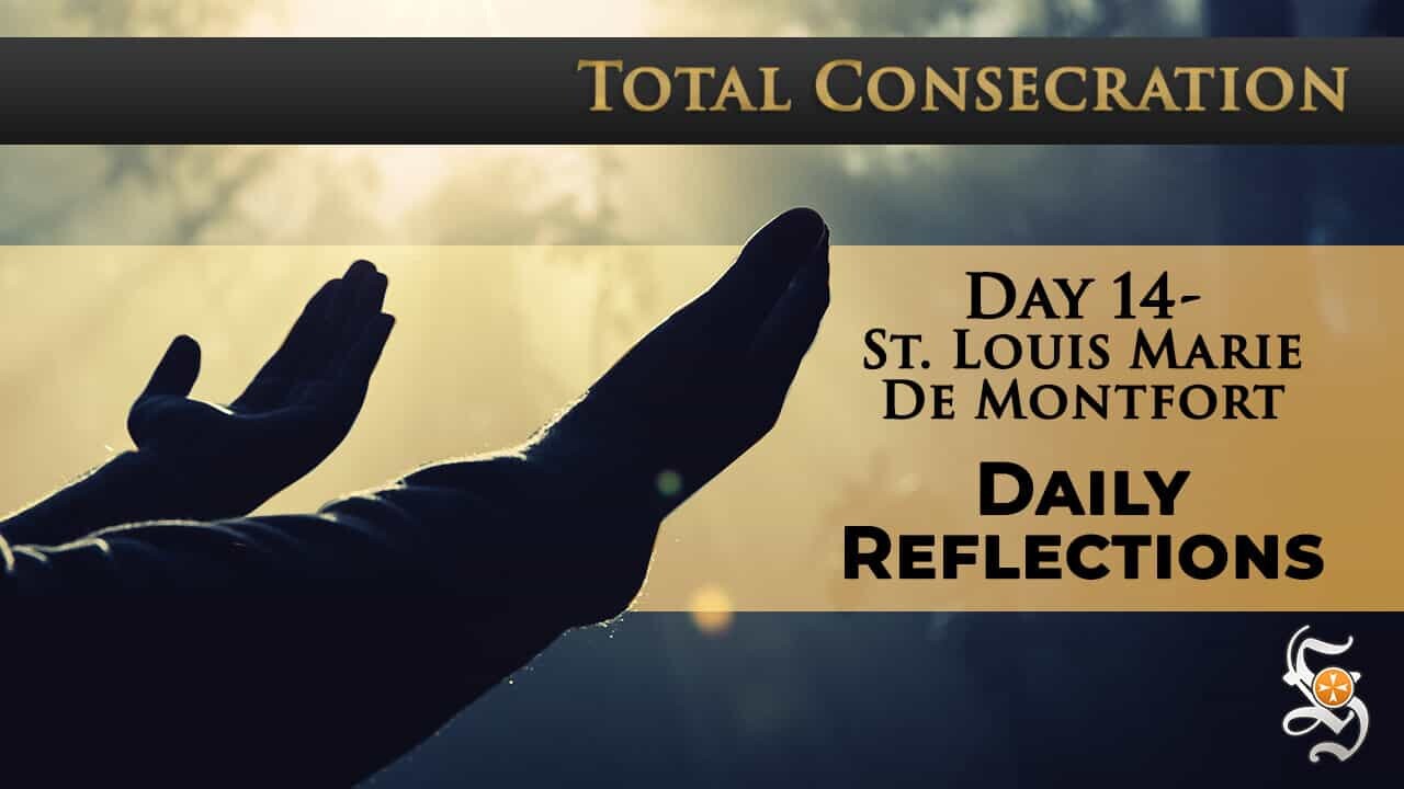 Total Consecration: Day 14 – St. Louis Marie de Montfort – Daily Reflection