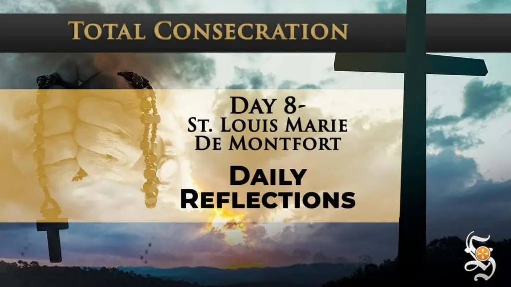 Day 8 - St. Louis Marie de Montfort