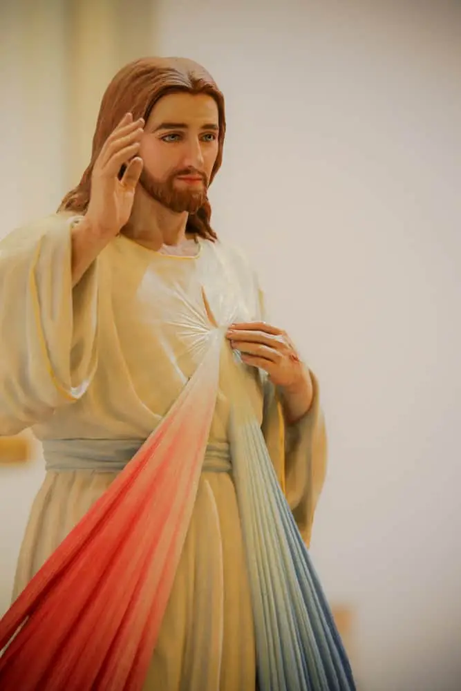 Chaplet of Divine Mercy image